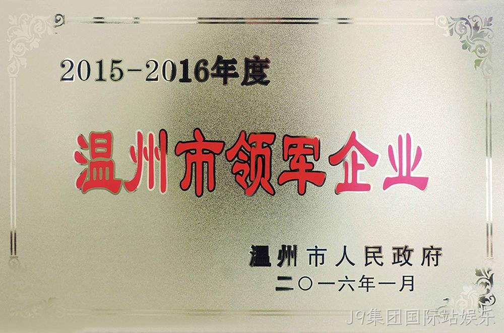 2015-2016年度温州市领军企业