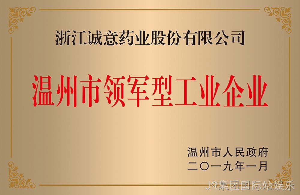 温州市领军型工业企业