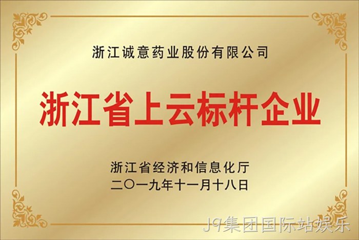 浙江省上云标杆企业 浙江省上云标杆企业